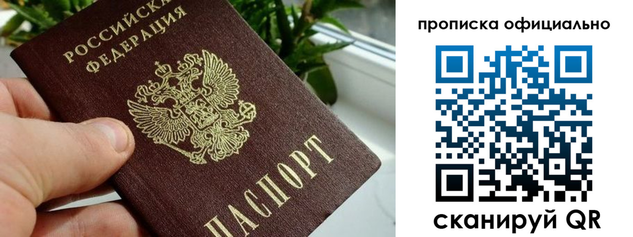 прописка поиск в Всеволожске